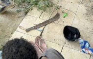 Cane-knife Wielding Suspects Gain Entry Into Home: Mt. View - KZN