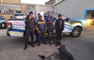 Suspect Apprehended on Rooftop in Pietermaritzburg CBD