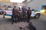 Two injured in a home invasion in Bellville