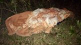 Suspect With Toy Firearm Killed During Robbery: Ogunjini - KZN