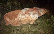 Suspect With Toy Firearm Killed During Robbery: Ogunjini - KZN