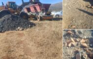 Police intervene in illegal mining activities at Mavalani Village and Spitskop