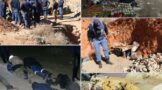 Operation Vala Umgodi lead to 142 arrests over the past week