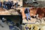 Operation Vala Umgodi lead to 142 arrests over the past week