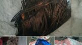 R850 000 stolen copper cables recovered in Malvern