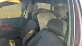 Four arrested for stolen livestock in Mthatha