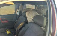 Four arrested for stolen livestock in Mthatha