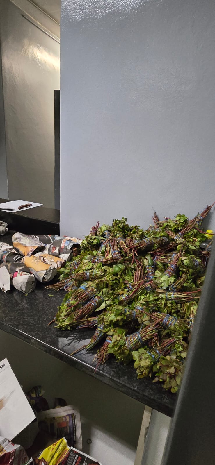 Woodstock police arrest three suspects for possession and dealing in drugs