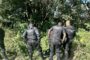 Scrap Collector Assaulted/Dumped For Dead: Tongaat - KZN