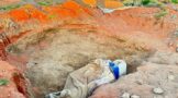 Five suspects arrested for illegal mining activities in Namakwa