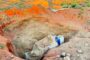 Five suspects arrested for illegal mining activities in Namakwa