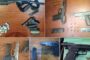 Gauteng police recovers 141 unlicensed firearms