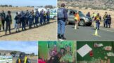 Operation Shanela II remove undesirable drugs from the streets of Mangaung Metro