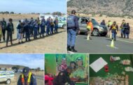 Operation Shanela II remove undesirable drugs from the streets of Mangaung Metro