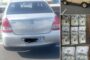 Numerous arrests made throughout Gauteng
