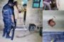 Family Locked In Home Following Robbery: Cottonlands - KZN
