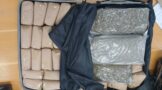Intensified Shanela II actions leads to apprehension of a dagga dealer