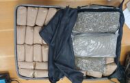 Intensified Shanela II actions leads to apprehension of a dagga dealer