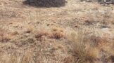 Police Strike Back Against Illegal Mining in Tweefontein