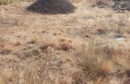Police Strike Back Against Illegal Mining in Tweefontein