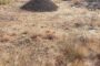 Police Strike Back Against Illegal Mining in Tweefontein