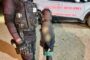 Child Flees Home to Escape Alleged Abuse - Ethekwini - KZN
