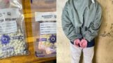 Suspect arrested when found in possession of 384 Mandrax tablets