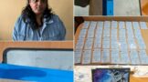Fraudulent Permit Operation Success