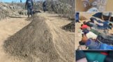 Operation Vala Umgodi nets 20 suspects and confiscates drugs