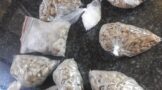 Police apprehended a 30-year-old male suspect for possession of drugs valued at thousands of rands in Naboomspruit