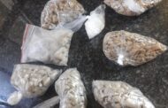 Police apprehended a 30-year-old male suspect for possession of drugs valued at thousands of rands in Naboomspruit