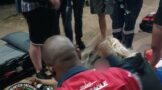Teenager sustained a patellar (knee) injury while playing netball