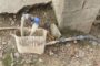 Female suspect found in possession of half Mandrax tablets and crystal meth