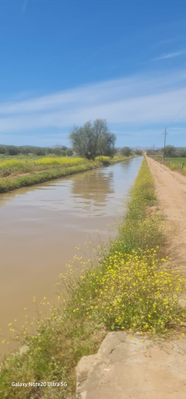 Warnings to the community to take precautions during the release of water in Oudtshoorn