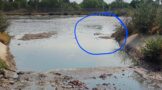 A second human body was found dead at the Bloemspruit WasteWater Treatment Works
