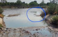 A second human body was found dead at the Bloemspruit WasteWater Treatment Works