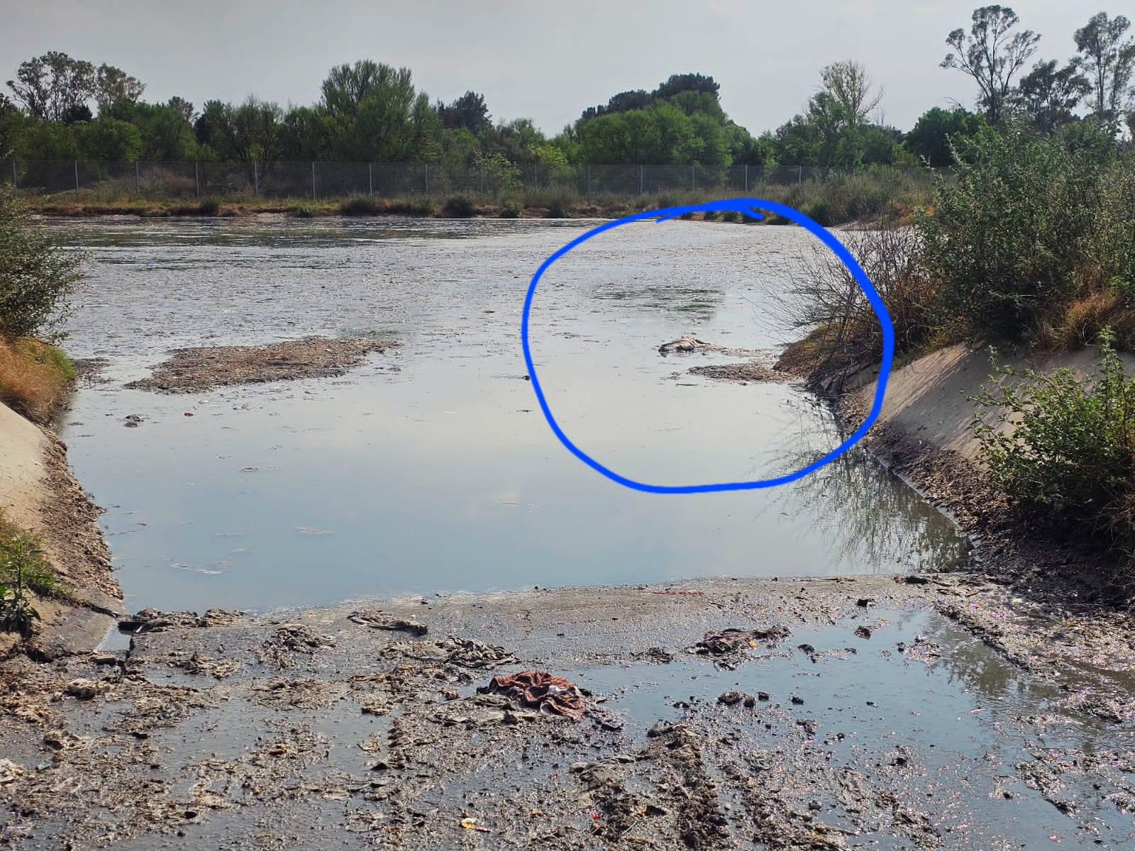 A second human body was found dead at the Bloemspruit WasteWater Treatment Works