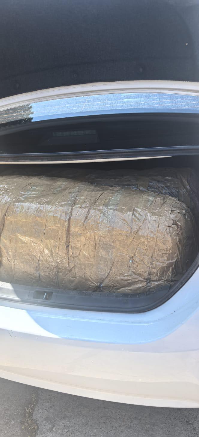 Limpopo SAPS flying squad arrest two male suspects for possession of dagga in Makhado