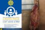 Mmabatho police request community assistance in locating missing woman: Sebokaeng Gladys Jakoba (55