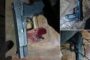 Three male suspects fatally shot as police official retaliated