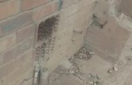 Family Concern Over Bee Swarm: Oakford - KZN