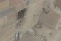 Family Concern Over Bee Swarm: Oakford - KZN