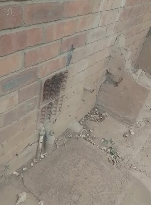 Family Concern Over Bee Swarm: Oakford - KZN