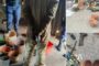 Two arrested for possession of gold-bearing material