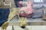 Police seek relatives of deceased pedestrian