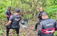 Charred Body Discovered in Sugarcane Plantation: Inanda - KZN