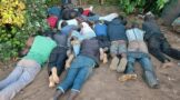 Farm owner and 19 undocumented suspects arrested in the Benoni Area