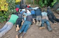 Farm owner and 19 undocumented suspects arrested in the Benoni Area