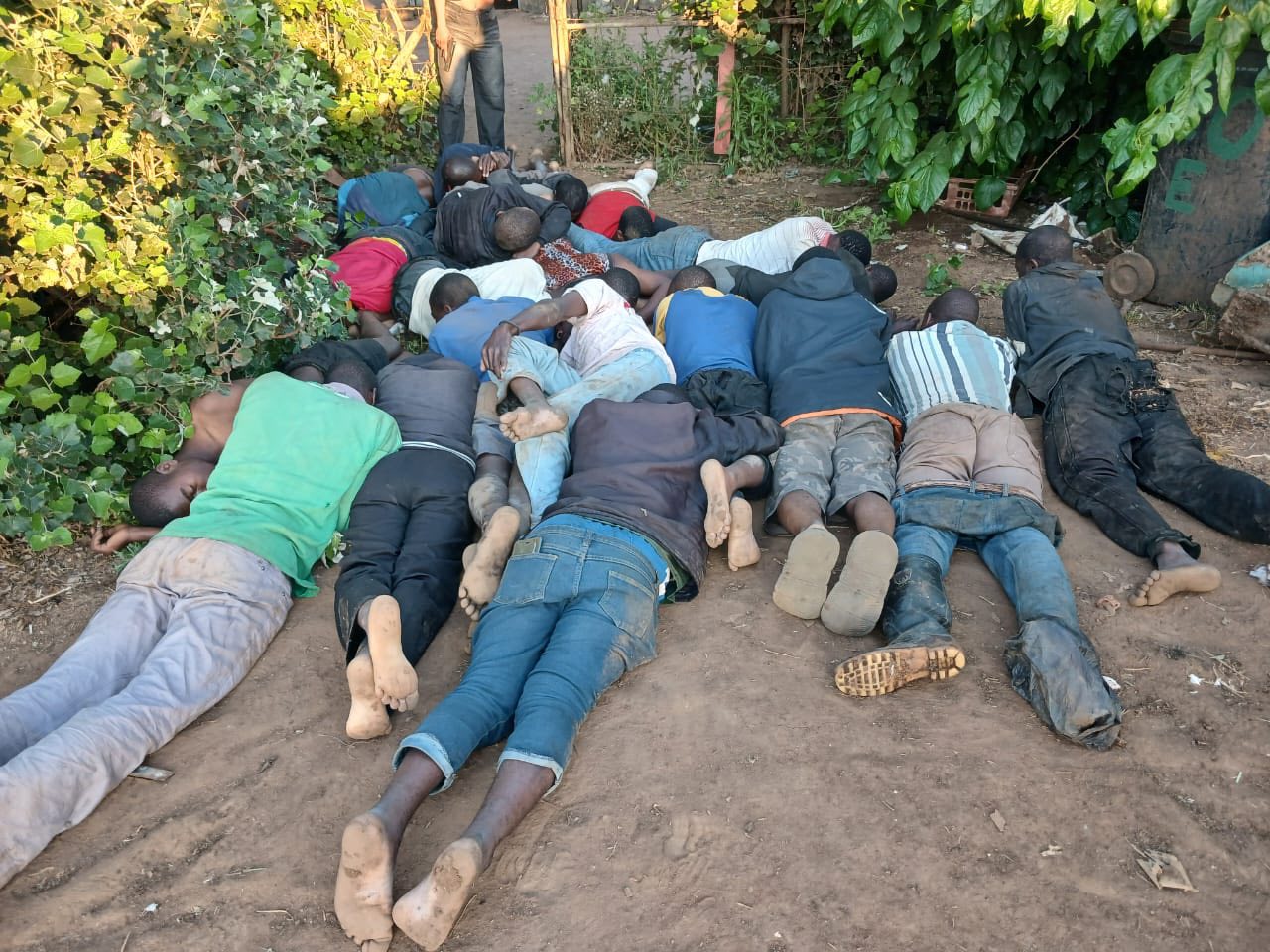 Farm owner and 19 undocumented suspects arrested in the Benoni Area