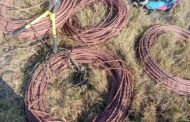 K9 Unit mobilised to address theft of copper cables in Kanon, Mossel Bay